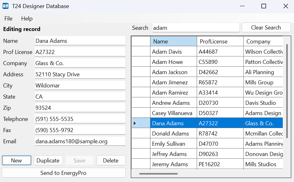 Screenshot of the T24 Designer Database tool